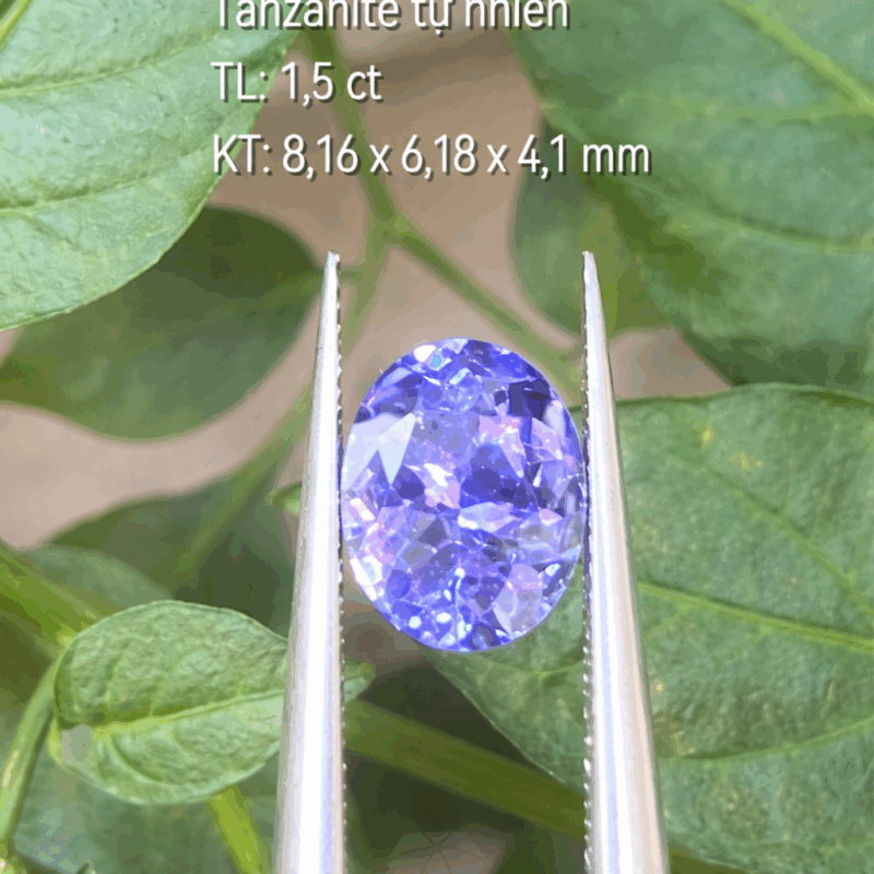  Tanzanite Xanh Lam TímTự Nhiên KG-10080.25
