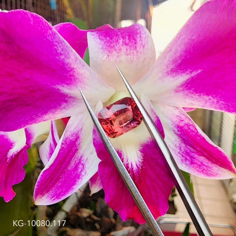 Sapphire Đỏ KG-10080.117- Tự Nhiên