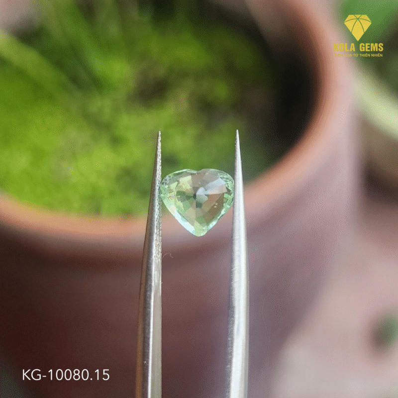 Tour xanh chuối KG-10080.15